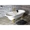 Aqua Eden Clawfoot Bathtubs, 72 L, 31.88 W, White/Polished Brass, Cast Iron VCT7DE7232NL2 - alternate 5